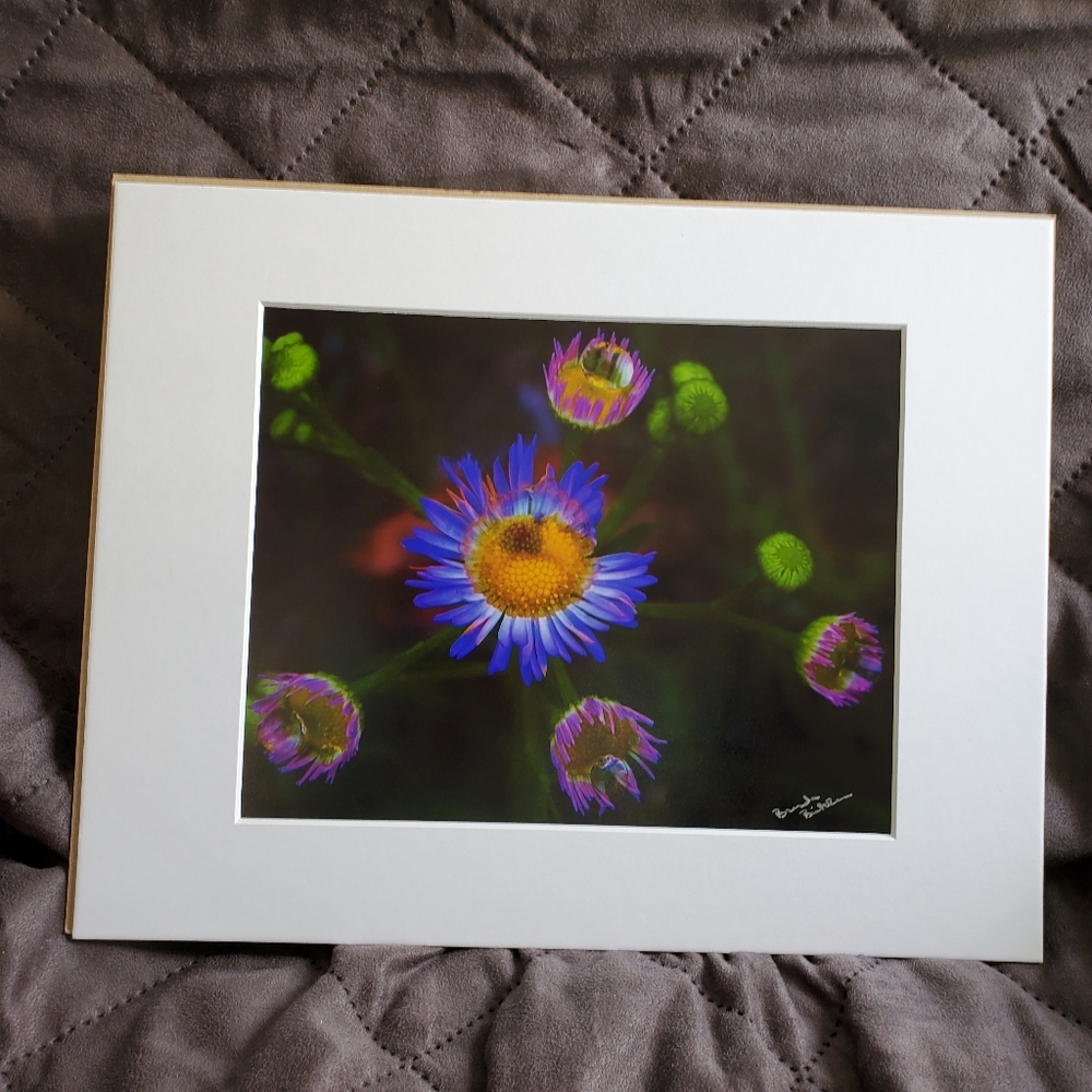 Raindrops Photo 11x14 Color